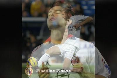 tres belle